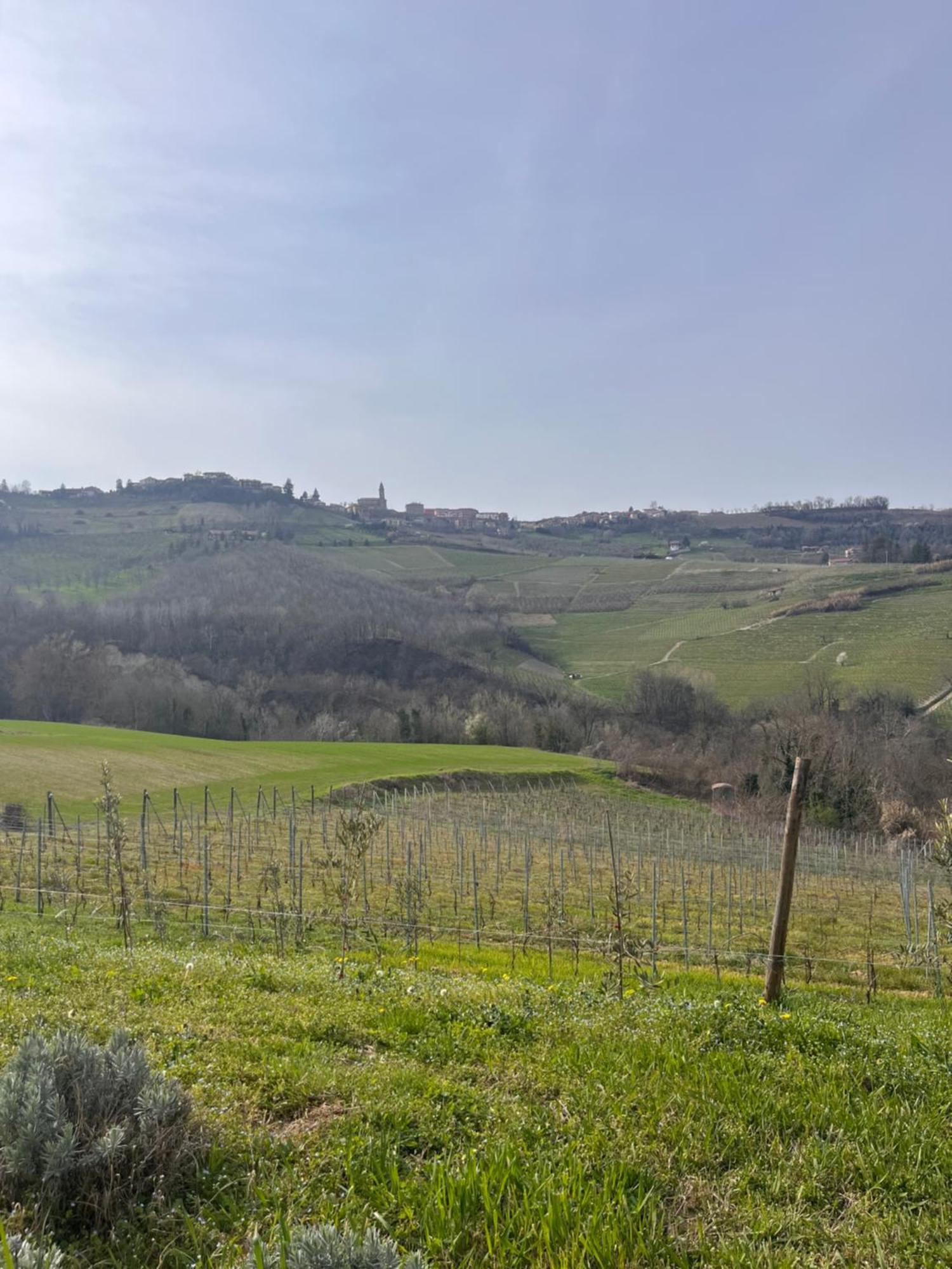 Le Cornici - Cascina Di Charme Hotel Diano d'Alba Bagian luar foto